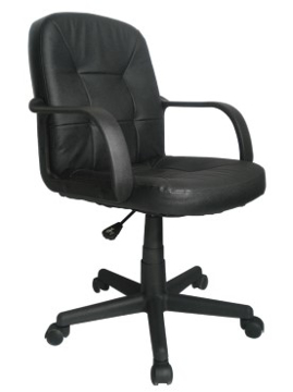 Picture of Express Delph Leather Chair