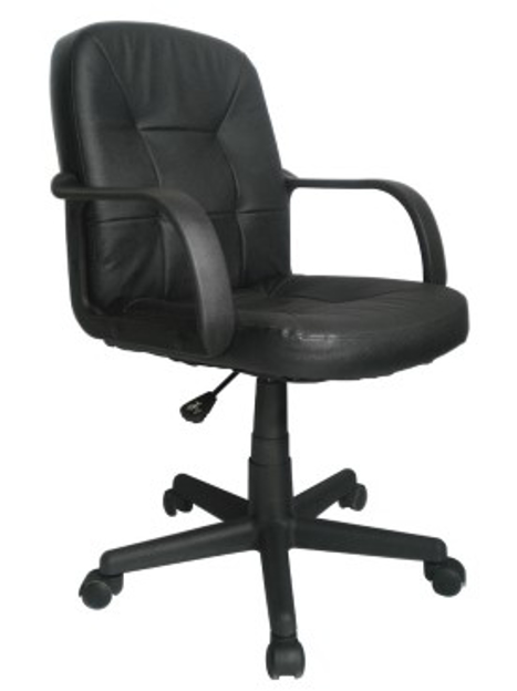 Picture of Express Delph Leather Chair