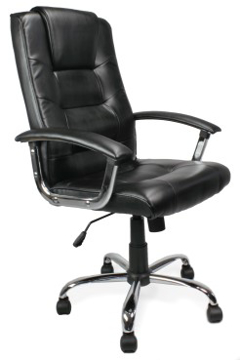 Picture of Express Westminster Leather Chair