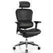 Picture of Ergohuman Elite Leather Chair