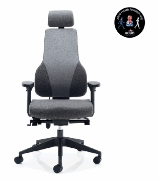 Picture of Apex Posture Chair