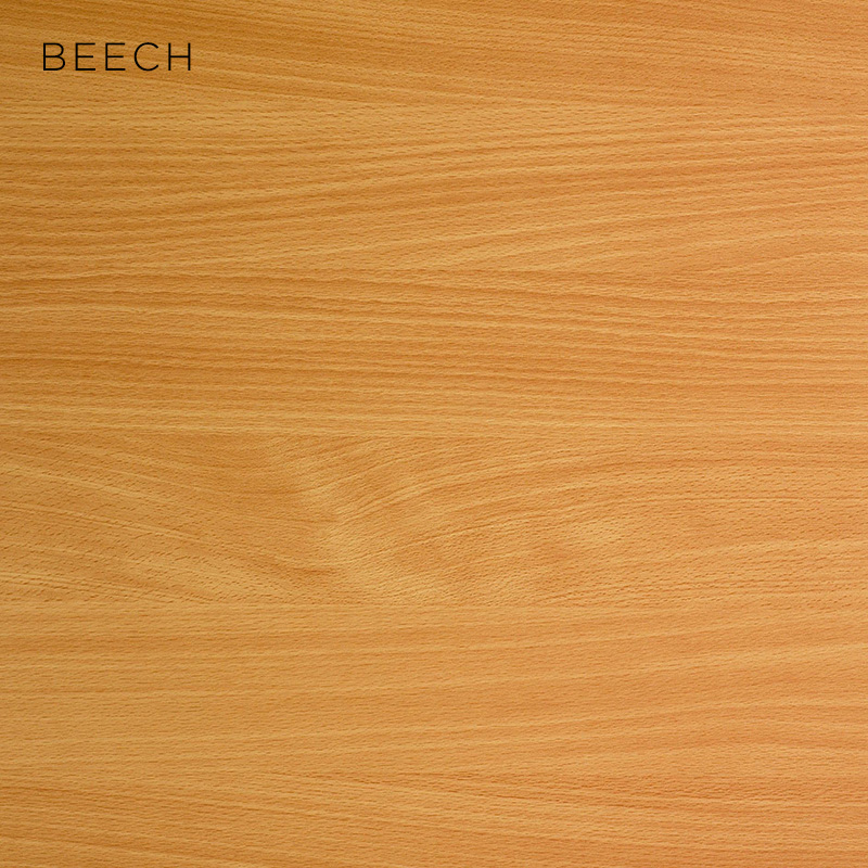 Beech