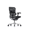 Picture of Ergohuman Elite Mesh Chair G2