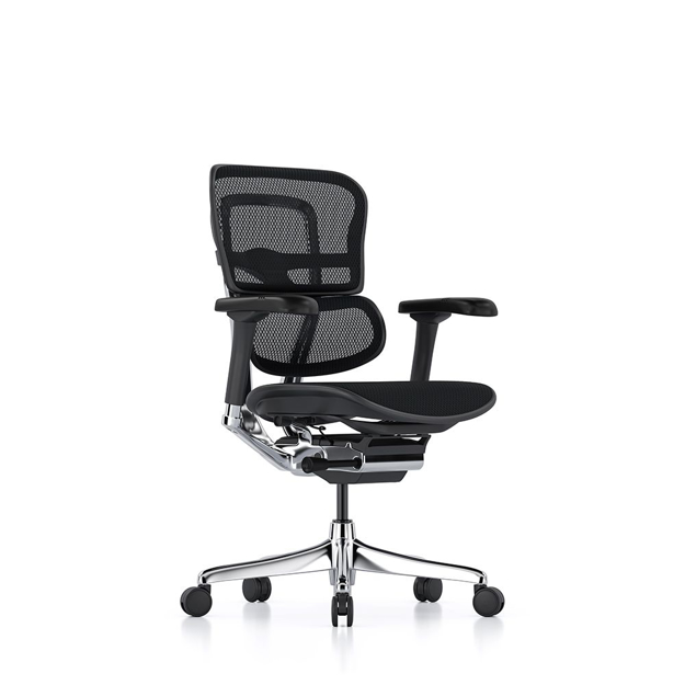 Ergohuman Task Chair, 52% OFF