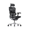 Picture of Ergohuman Elite Mesh Chair G2