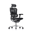 Picture of Ergohuman Elite Mesh Chair