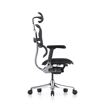 Picture of Ergohuman Elite Mesh Chair