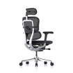 Picture of Ergohuman Elite Mesh Chair