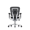 Picture of Ergohuman Elite Mesh Chair G2