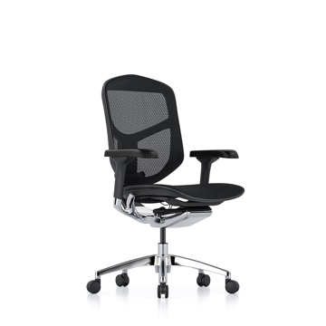Picture of Enjoy Elite Mesh Chair G2