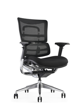Picture of i29 Ergonomic Mesh Chair