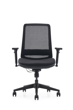 Picture of C19 Mesh Chair