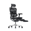 Picture of Ergohuman Elite Mesh Chair G2