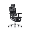 Picture of Ergohuman Elite Mesh Chair G2